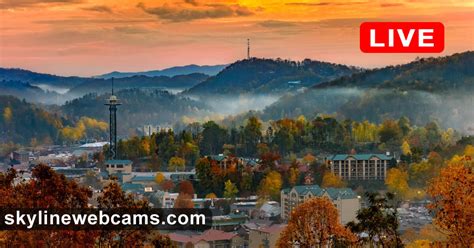 webcam tenne|Live Webcams in Tennessee, USA.